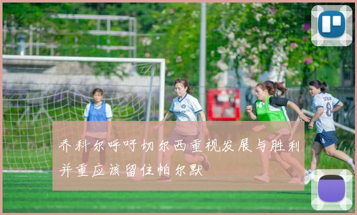乔科尔呼吁切尔西重视发展与胜利并重应该留住帕尔默